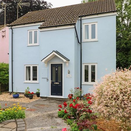 Mews Cottage Carmarthen Exterior foto
